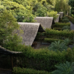 Gallery Thumbnail 1