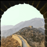 Gallery Thumbnail 1