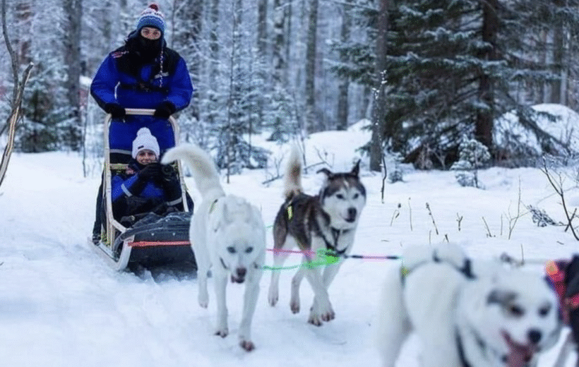 A Winter Wonderland and Arctic Family Adventure - 11th December 2025