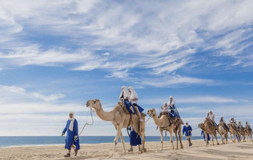 Rabat & Tangier Winter Escape - 10th December 2025