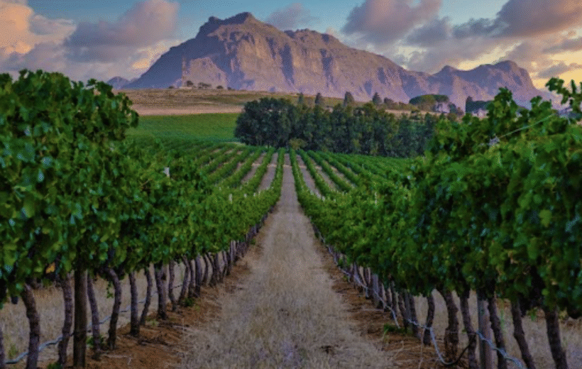 Cape Town Foodies Tour - 9th March 2026 from 2099pp