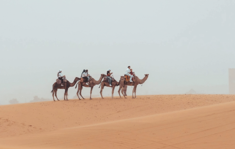 Incredible 11 day Escorted Tour of Tunisia from £1,945pp - 2026/2027